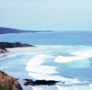 NSW